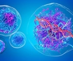 Epigenetic drug-sensitive biomarkers for cancer