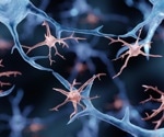 Study shows how brain rhythms can affect brain function by altering microglia and cytokines